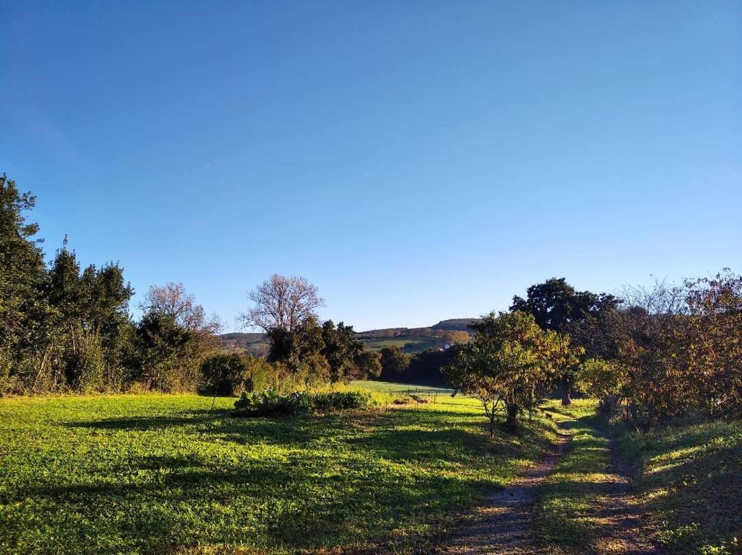 Albergue Casa Vacas Carriazo Exteriér fotografie